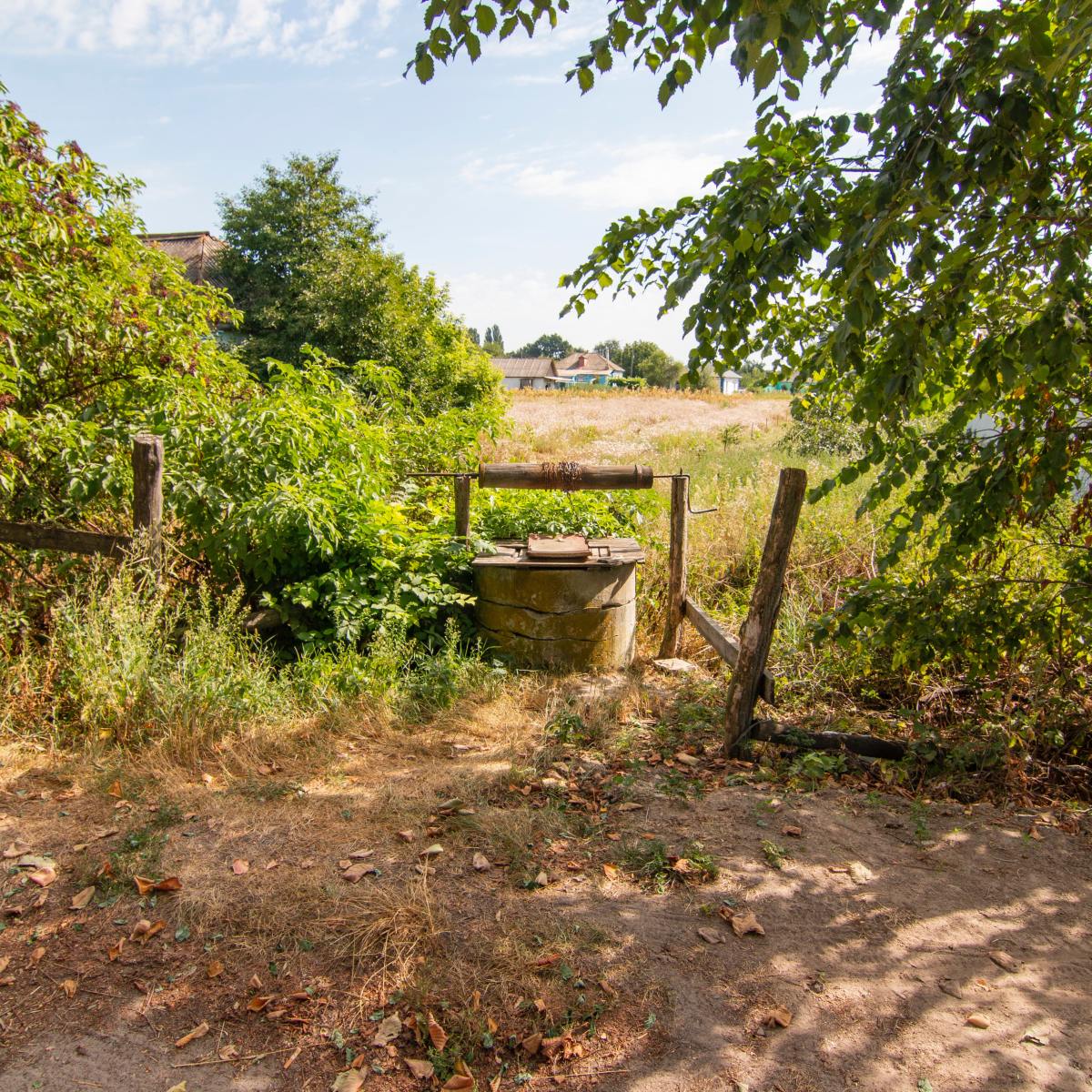 A Conversation at the&nbsp;Well